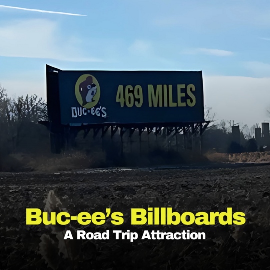 Celebrating Thanksgiving